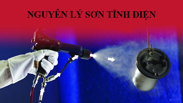 nguye-ly-son-tinh-dien