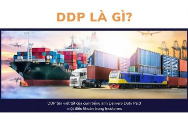 DDP là gì? Trách nhiệm của người bán và người mua trong DDP